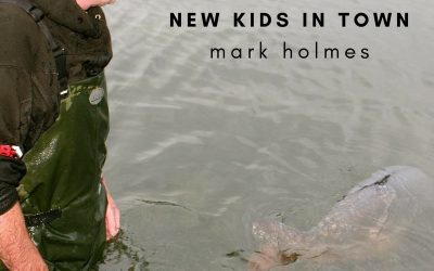 New kids in Town by Mark Holmes